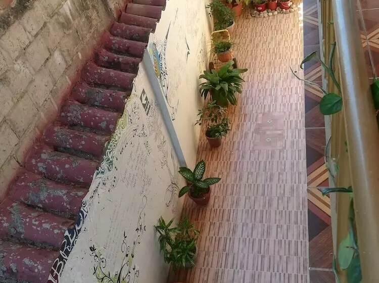 Tambo Andina Hostel