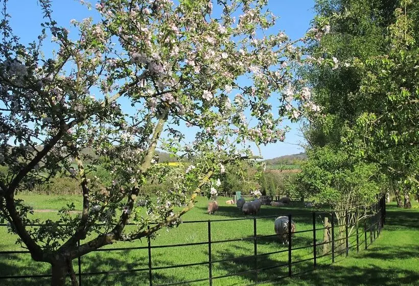The Old Vicarage