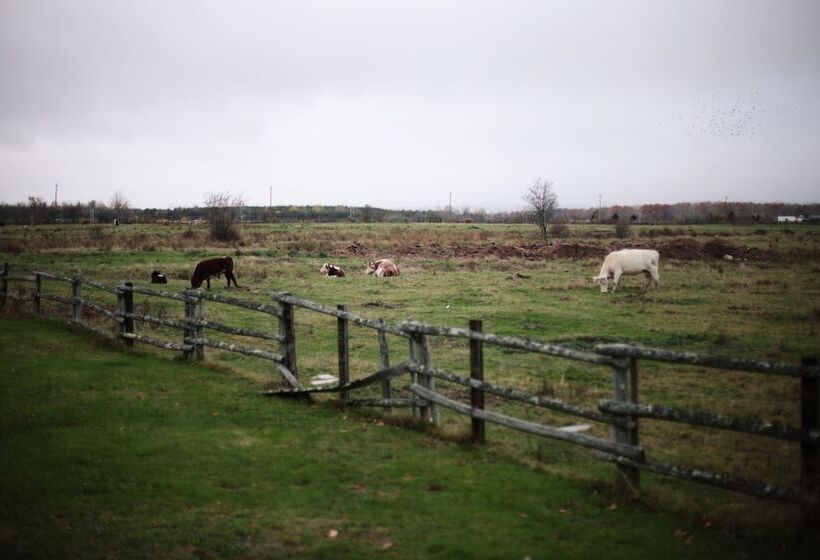 Carleton Inn & Cottages