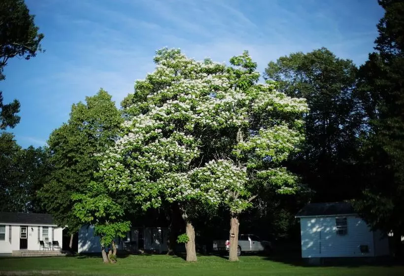 Carleton Inn & Cottages