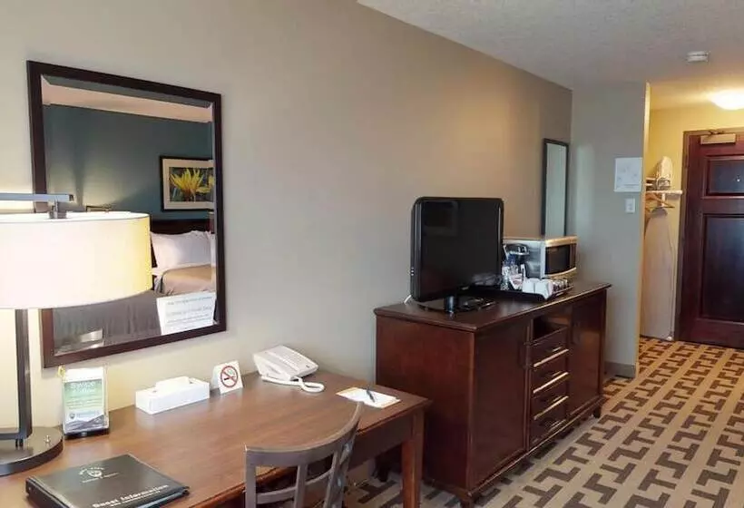 ホテル Bear Claw Casino &