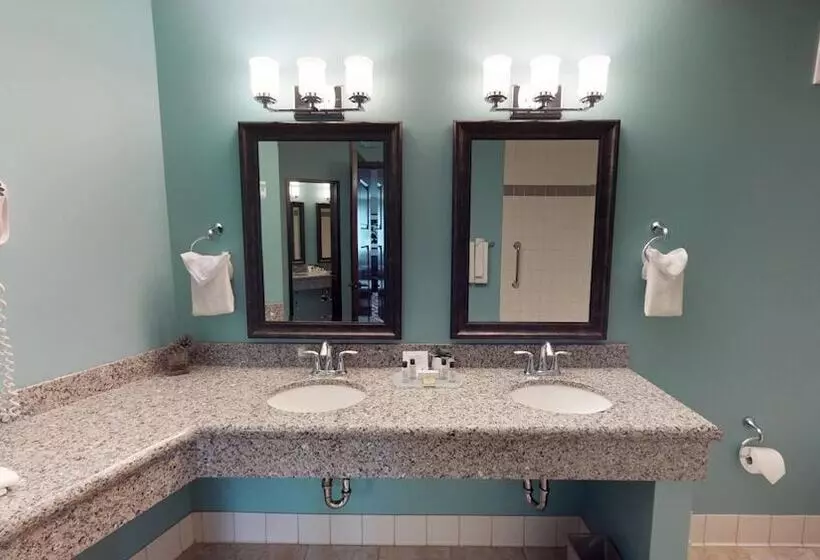 ホテル Bear Claw Casino &