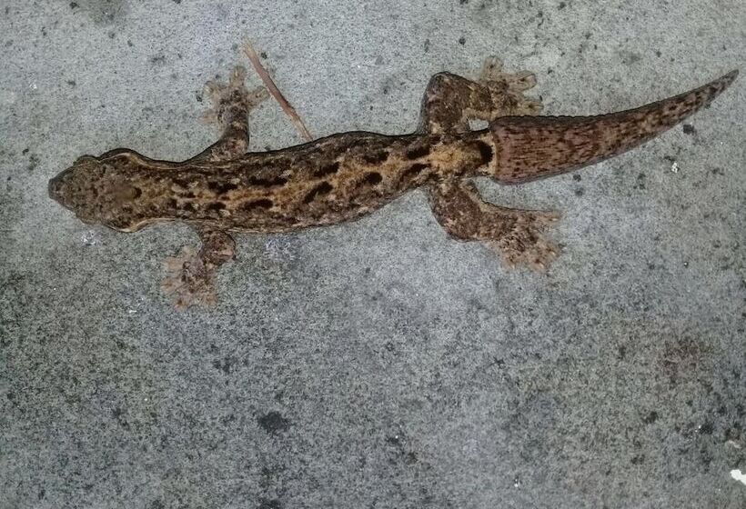 هتل Casa Grande Ecolodge At Pacuare Reserve