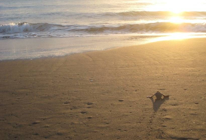 هتل Casa Grande Ecolodge At Pacuare Reserve