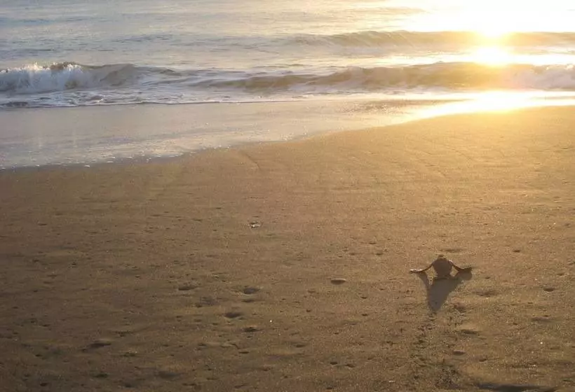 Hotelli Casa Grande Ecolodge At Pacuare Reserve