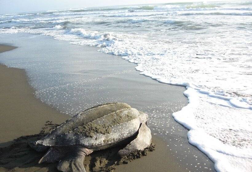 هتل Casa Grande Ecolodge At Pacuare Reserve