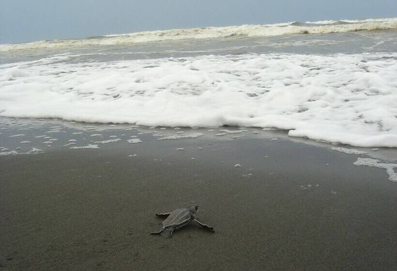 هتل Casa Grande Ecolodge At Pacuare Reserve