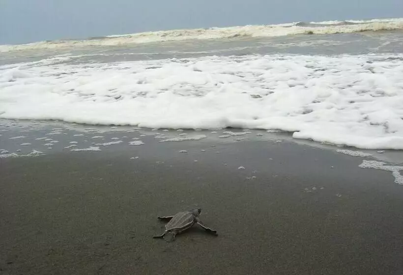 Hotelli Casa Grande Ecolodge At Pacuare Reserve