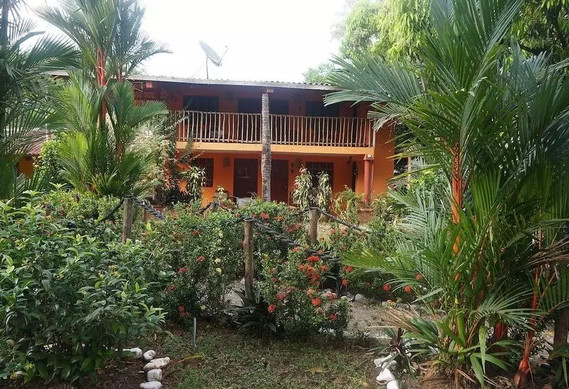 ホテル Club Pacifico Sur