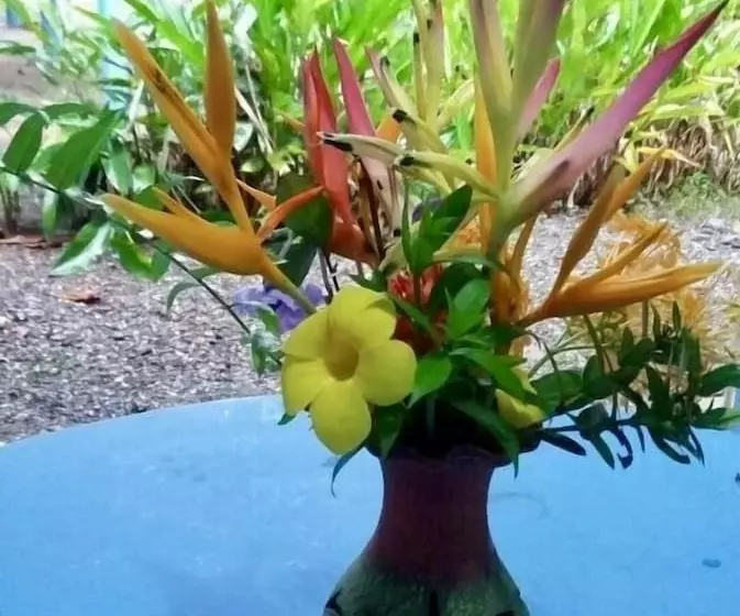 ホテル Club Pacifico Sur