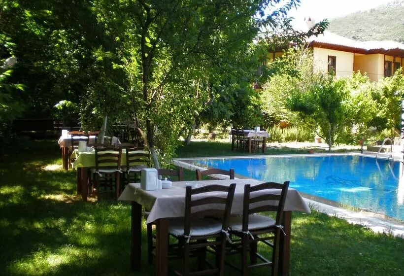 Hotelli Defne Pansiyon