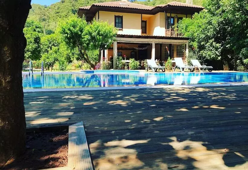 Hotelli Defne Pansiyon