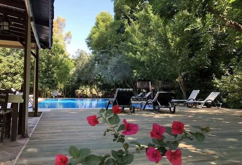 Hotelli Defne Pansiyon