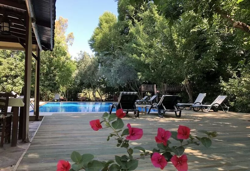 Hotelli Defne Pansiyon