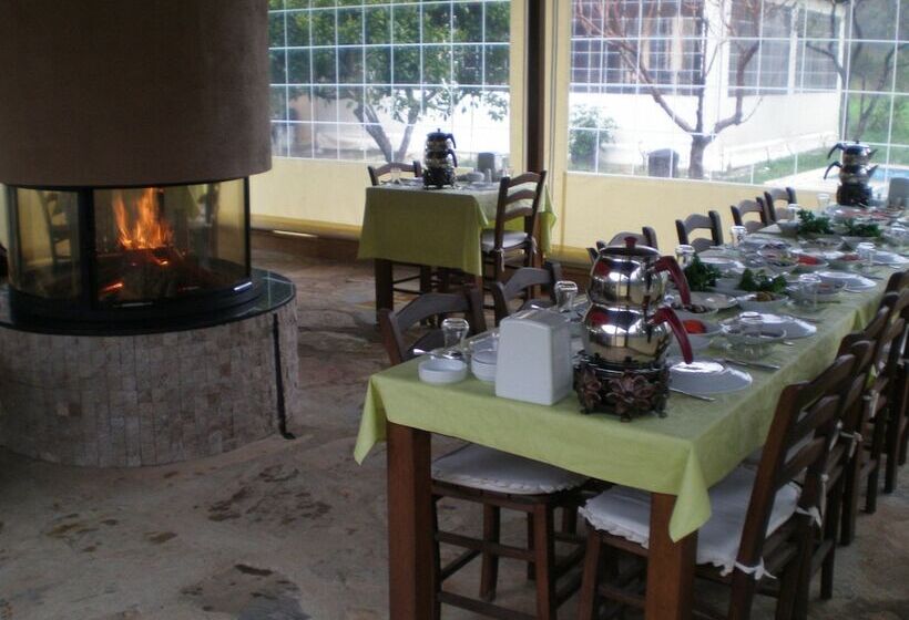 酒店 Defne Pansiyon