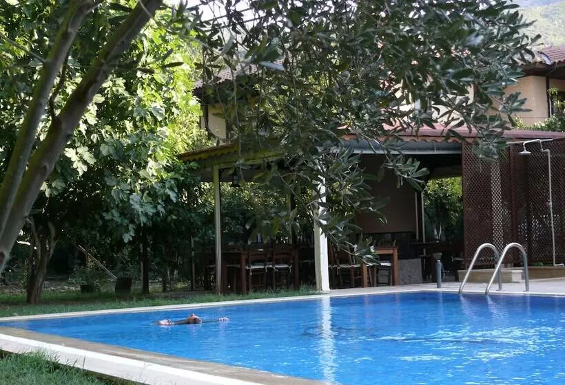 Hotelli Defne Pansiyon