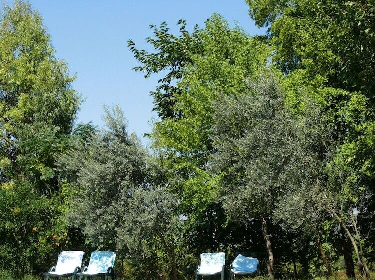 酒店 Defne Pansiyon