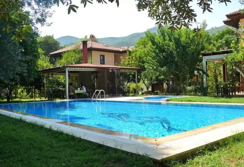 Hotelli Defne Pansiyon