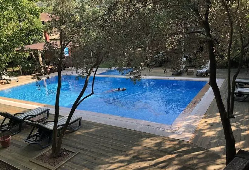Hotelli Defne Pansiyon