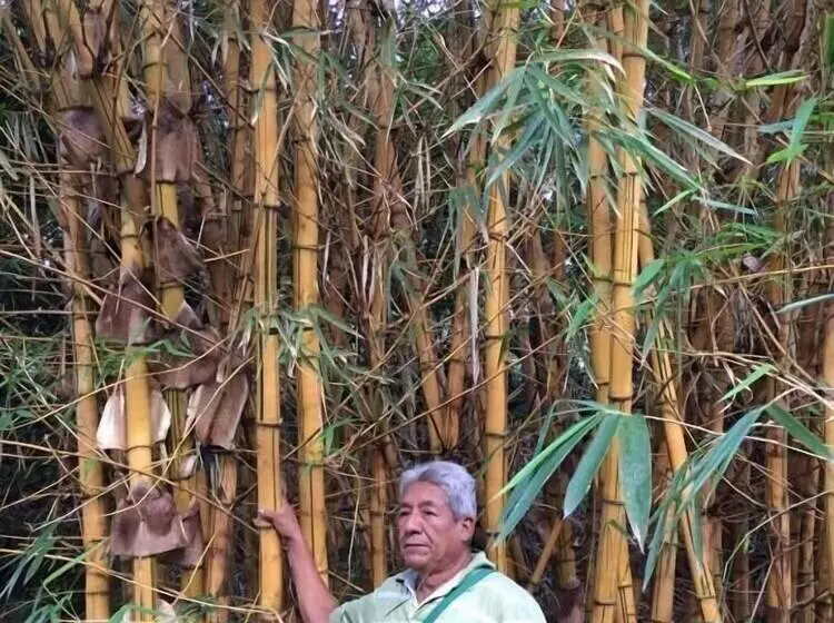 ホテル El Mangal