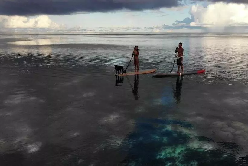 هتل Ngellil Nature Island Resort