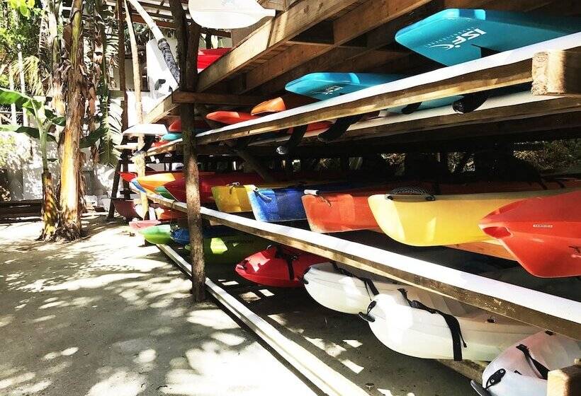 Отель Ngellil Nature Island Resort