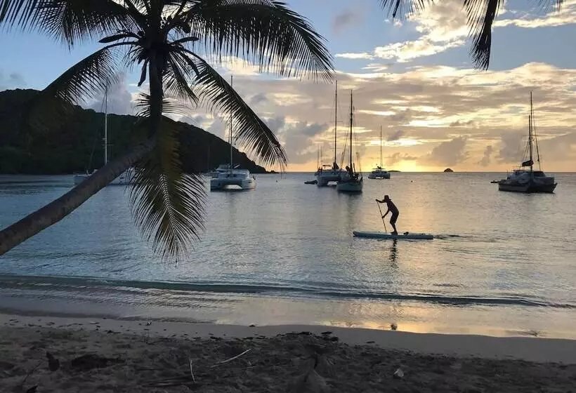 هتل Salt Whistle Bay Retreat