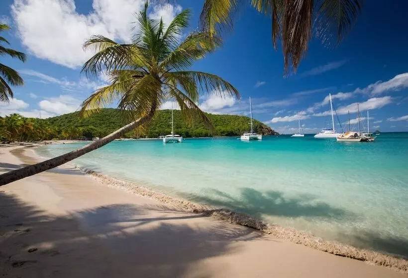 هتل Salt Whistle Bay Retreat