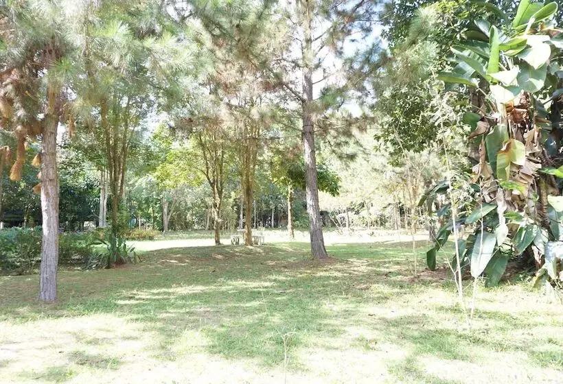 Hotelli Sonseesaed Farm