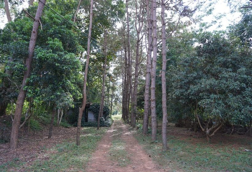 בית מלון כפרי Sonseesaed Farm