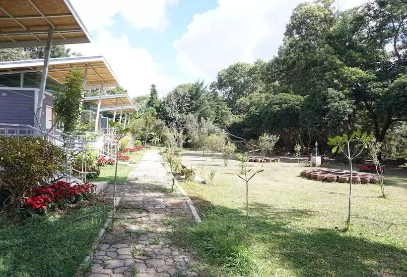 Hotelli Sonseesaed Farm