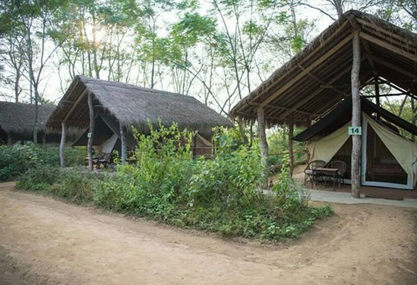 هتل Tigertops Elephant Camp