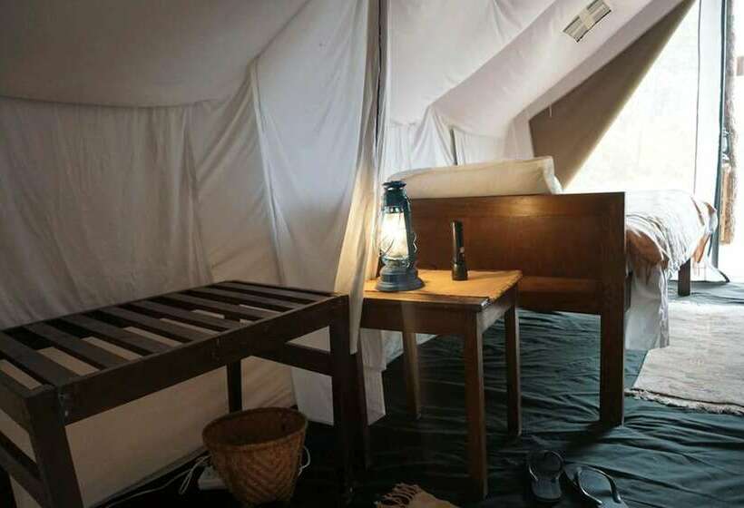 هتل Tigertops Elephant Camp