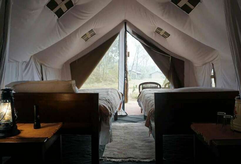 هتل Tigertops Elephant Camp