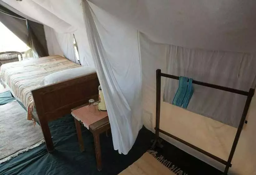 هتل Tigertops Elephant Camp