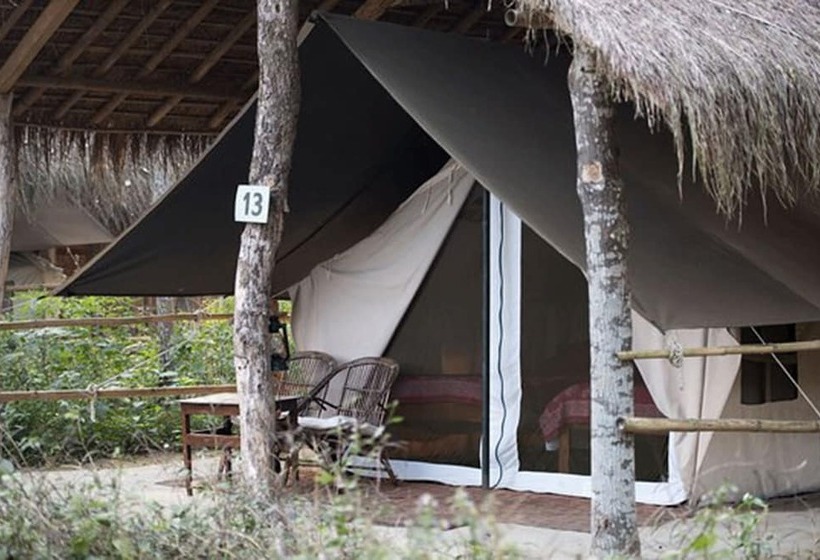 هتل Tigertops Elephant Camp