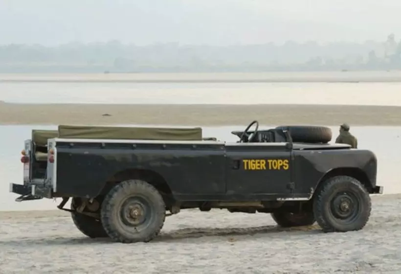 هتل Tigertops Elephant Camp