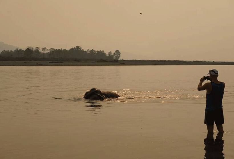 هتل Tigertops Elephant Camp