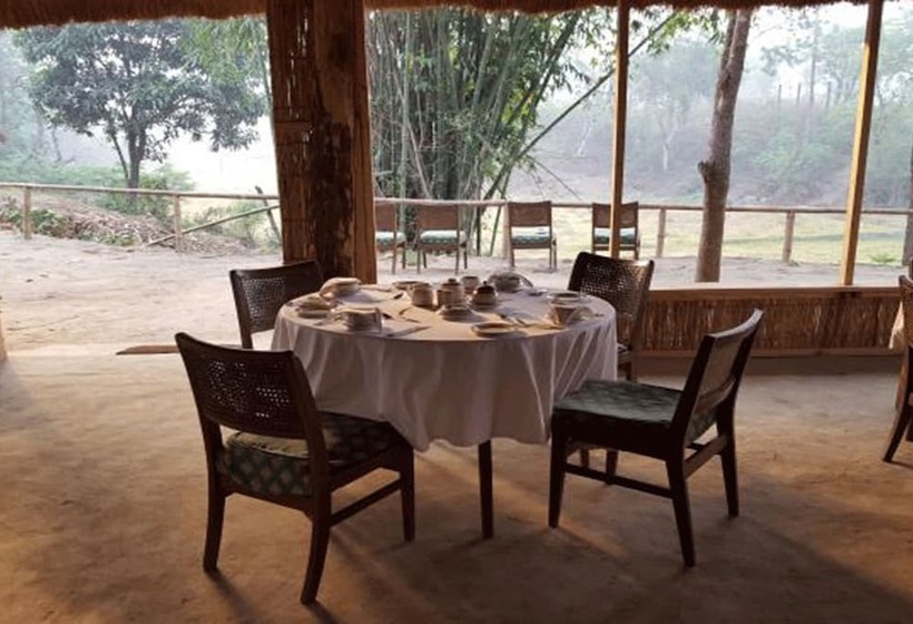 هتل Tigertops Elephant Camp