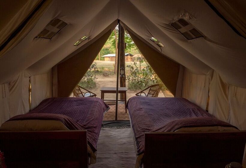 هتل Tigertops Elephant Camp