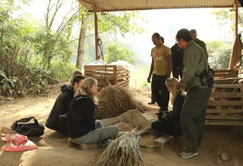 هتل Tigertops Elephant Camp