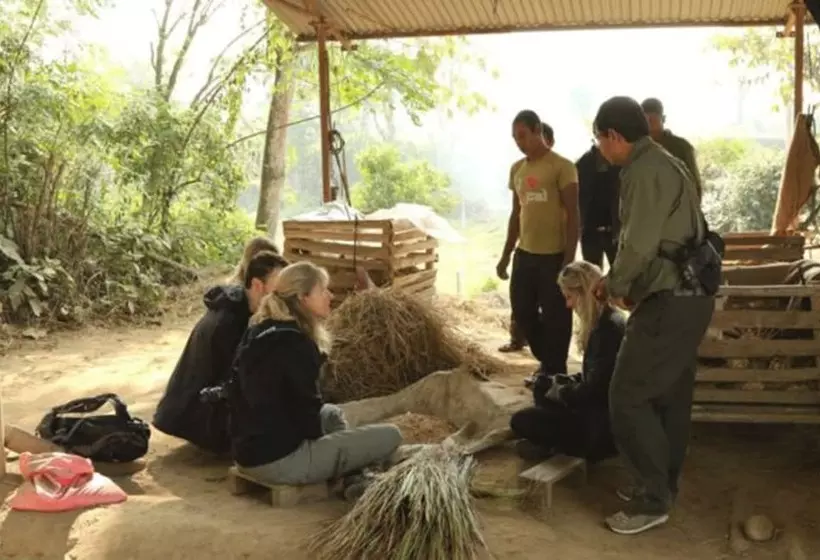 هتل Tigertops Elephant Camp