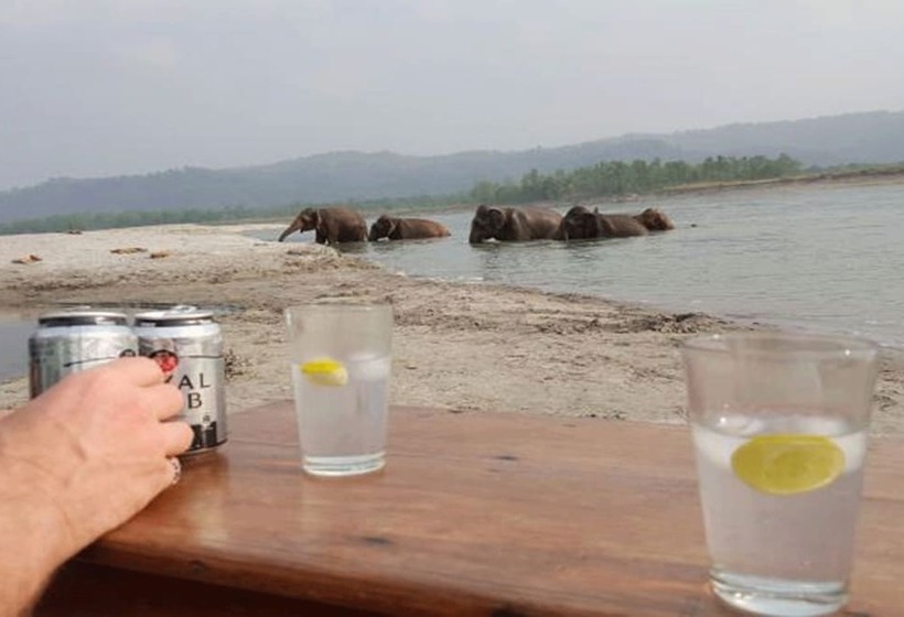 هتل Tigertops Elephant Camp