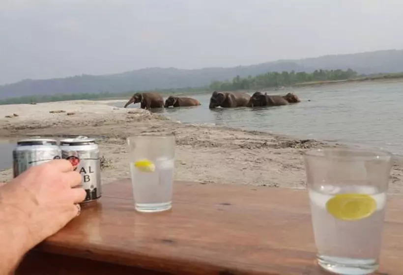 هتل Tigertops Elephant Camp