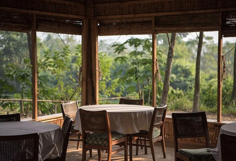 هتل Tigertops Elephant Camp