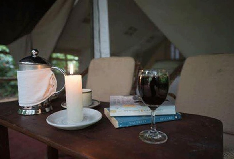 هتل Tigertops Elephant Camp