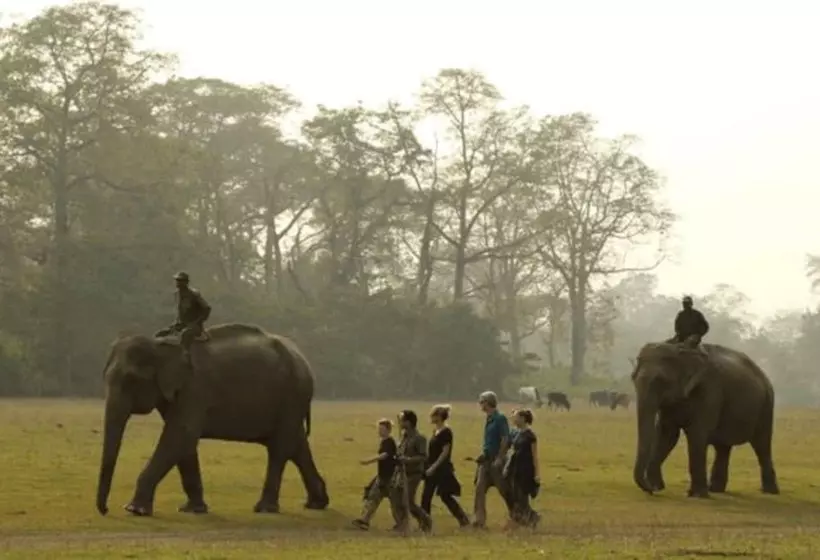 هتل Tigertops Elephant Camp