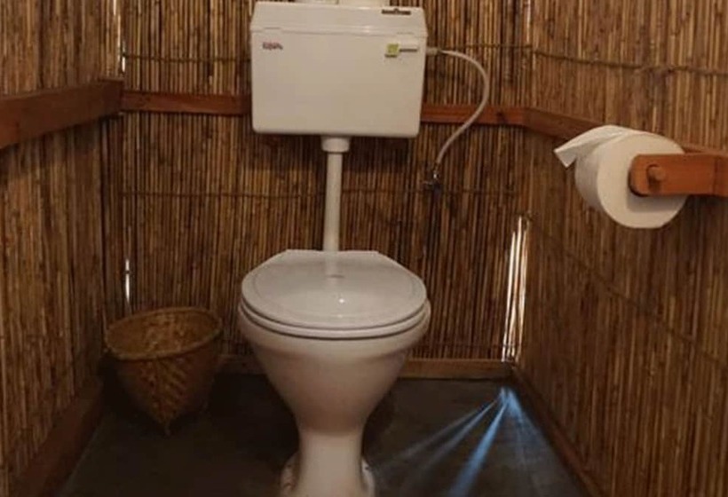 هتل Tigertops Elephant Camp