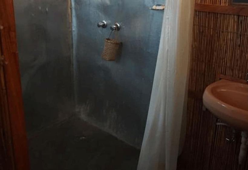 هتل Tigertops Elephant Camp