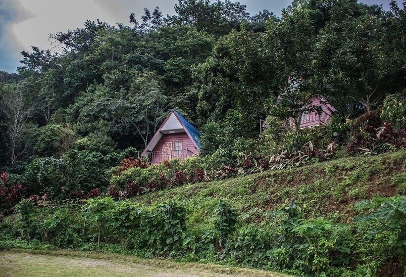 酒店 Ukrist Farm Hill Resort